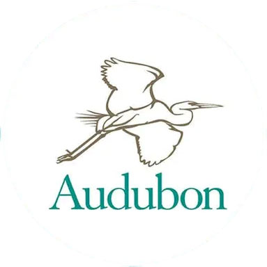 Audubon